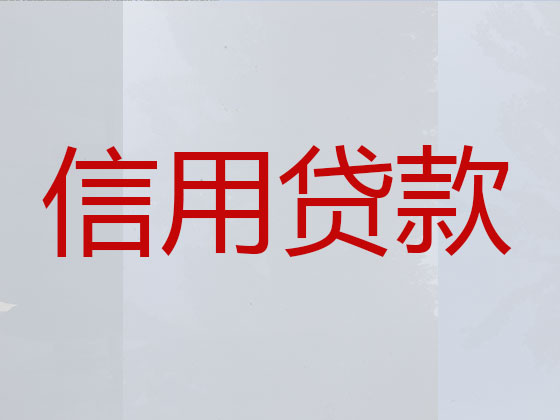 射阳县抵押担保贷款-银行信用贷款